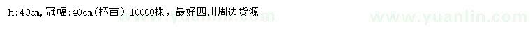 求購(gòu)高40公分圣誕樹