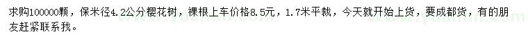求購米徑4.2公分櫻花樹