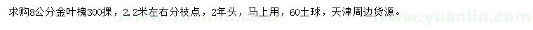 求購8公分金葉槐