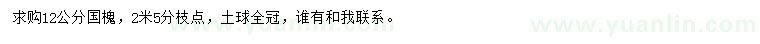 求購(gòu)12公分國(guó)槐