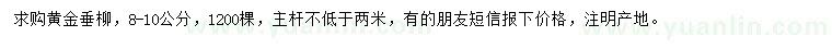 求購8-10公分黃金垂柳