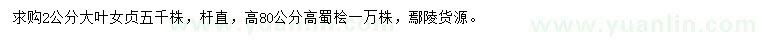 求購(gòu)2公分大葉女貞、高80公分蜀檜