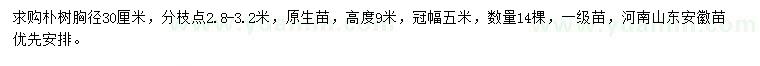 求購胸徑30公分樸樹