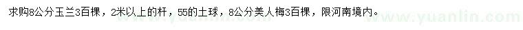 求購8公分玉蘭、美人梅