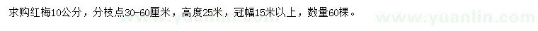 求購10公分紅梅