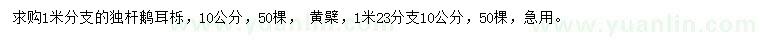 求購(gòu)10公分鵝耳櫟、黃檗