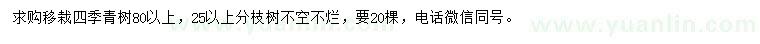 求購(gòu)80公分以上移栽四季青樹