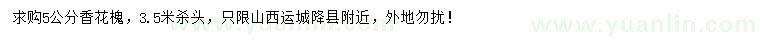求購5公分香花槐