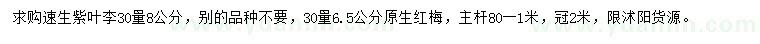 求購30量8公分速生紫葉李、30量6.5公分原生紅梅