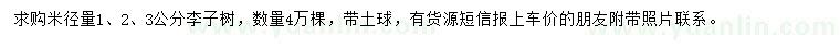 求購米徑量1、2、3公分李子樹