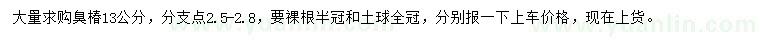 求購13公分臭椿