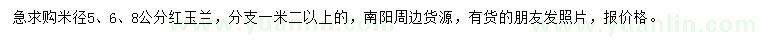 求購米徑5、6、8公分紅玉蘭