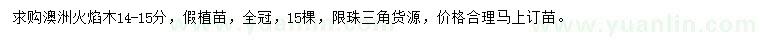 求購14-15公分澳洲火焰木