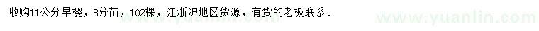 求購11公分早櫻