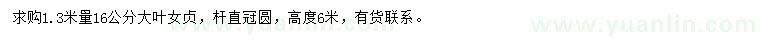 求購1.3米量16公分大葉女貞