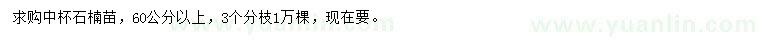 求購(gòu)高60公分以上石楠苗