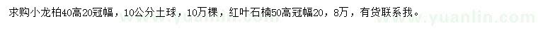 求購(gòu)高40公分小龍柏、高50公分紅葉石楠