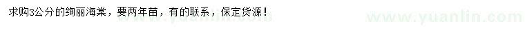 求購3公分絢麗海棠