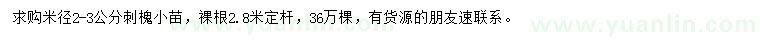 求購米徑2-3公分刺槐小苗
