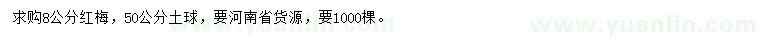 求購8公分紅梅
