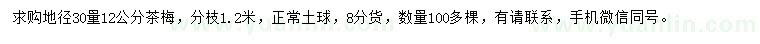 求購地徑30量12公分茶梅