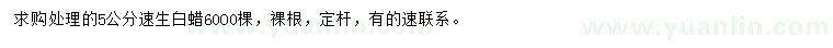 求購5公分速生白蠟