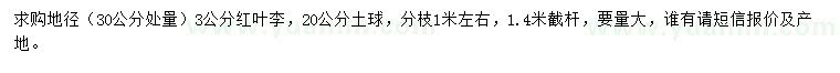 求購地徑30公分處量3公分紅葉李