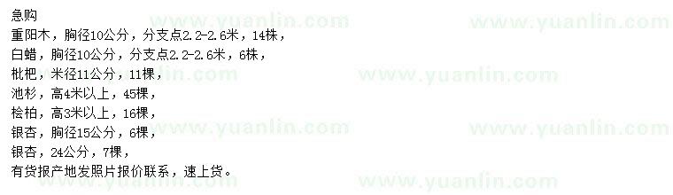 求購(gòu)重陽(yáng)木、白蠟、枇杷等