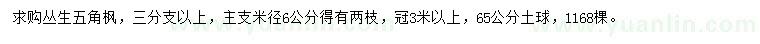 求購冠3米以上叢生五角楓