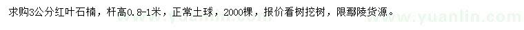 求購3公分紅葉石楠