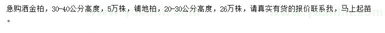求購高度30-40公分灑金柏、高度20-30公分鋪地柏