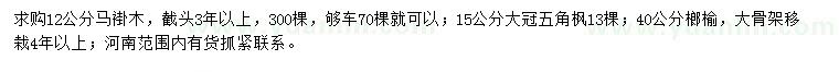 求購馬褂木、五角楓、榔榆