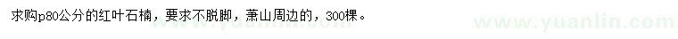 求購(gòu)冠80公分紅葉石楠