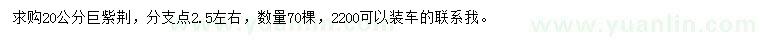 求購(gòu)20公分巨紫荊