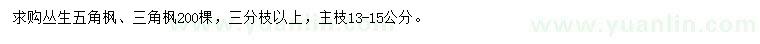 求購(gòu)叢生五角楓、三角楓