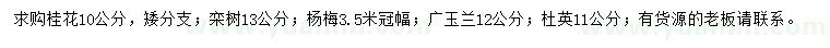 求購桂花、欒樹、楊梅等