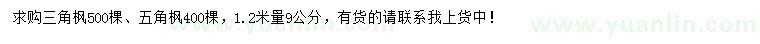 求購1.2米量9公分三角楓、五角楓