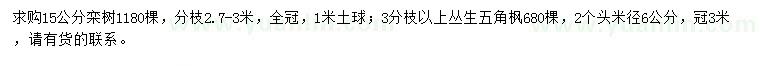 求購15公分欒樹、3分枝以上叢生五角楓