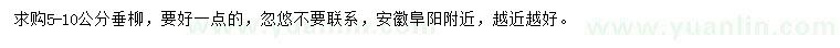 求購5-10公分垂柳