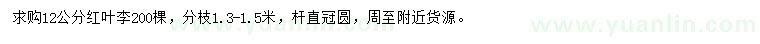 求購12公分紅葉李