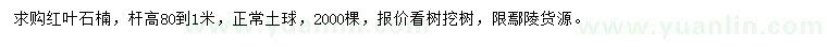 求購桿高0.8-1米紅葉石楠