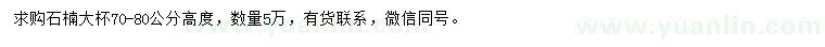 求購高70-80公分石楠