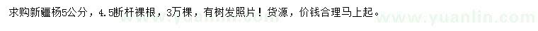 求購5公分新疆楊