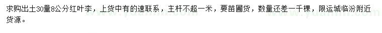 求購出土30量8公分紅葉李
