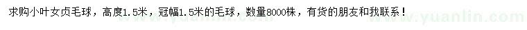 求購高度1.5米小葉女貞毛球