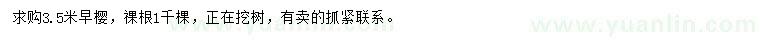 求購3.5米早櫻