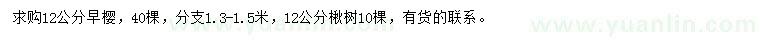 求購(gòu)12公分早櫻、楸樹