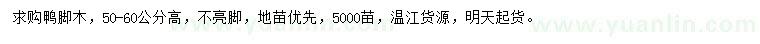求購(gòu)高50-60公分鴨腳木