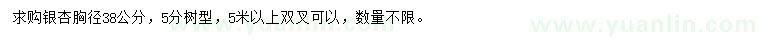 求購胸徑38公分銀杏