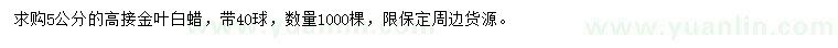 求購5公分高接金葉白蠟